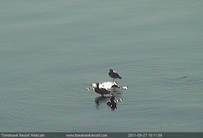 Lake of the Woods Webcam, Tue, 27 Sep 2011 15:11:12 GMT
