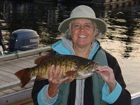 smallmouth bass, camping