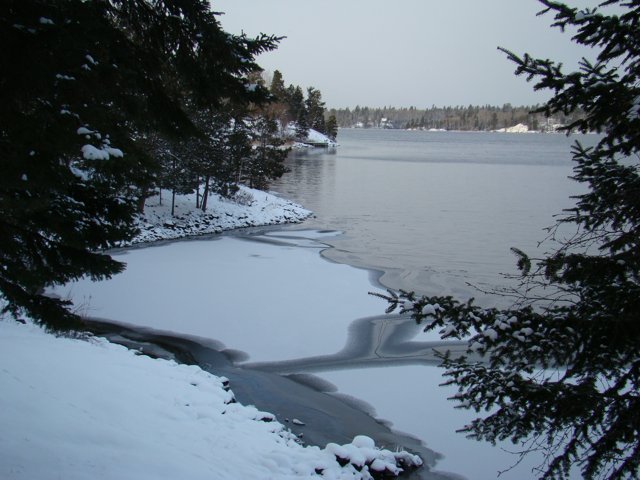 Freezing in the bay
