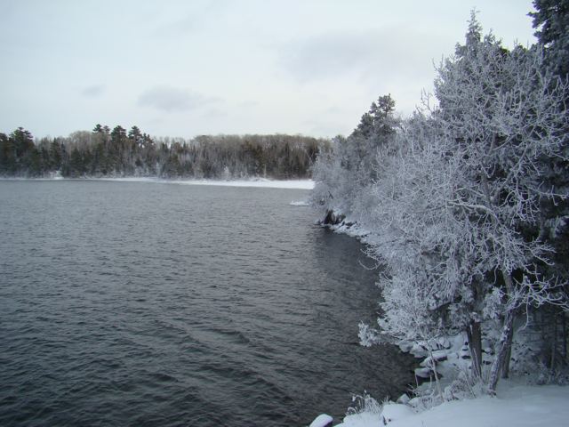 Looking off the deck of Cottage 9