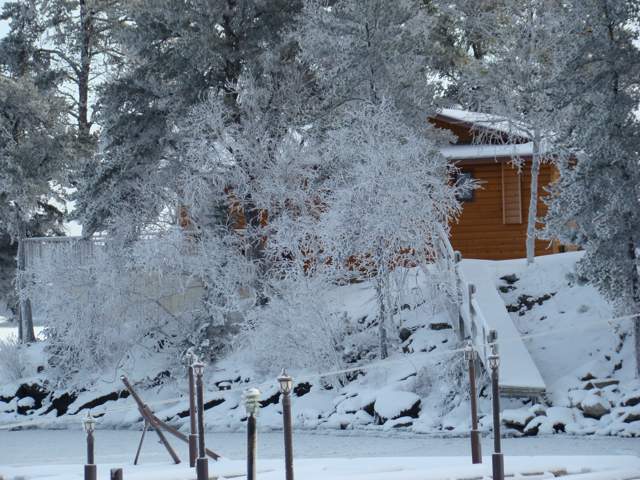 Some ice and hoar frost around Cottage 7