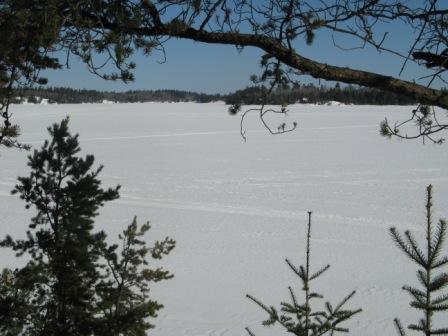 Looking off the deck of cottage #9