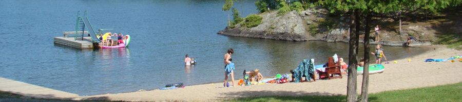 Playing in Prestine Waters on a Beautiful Beach bimage119269