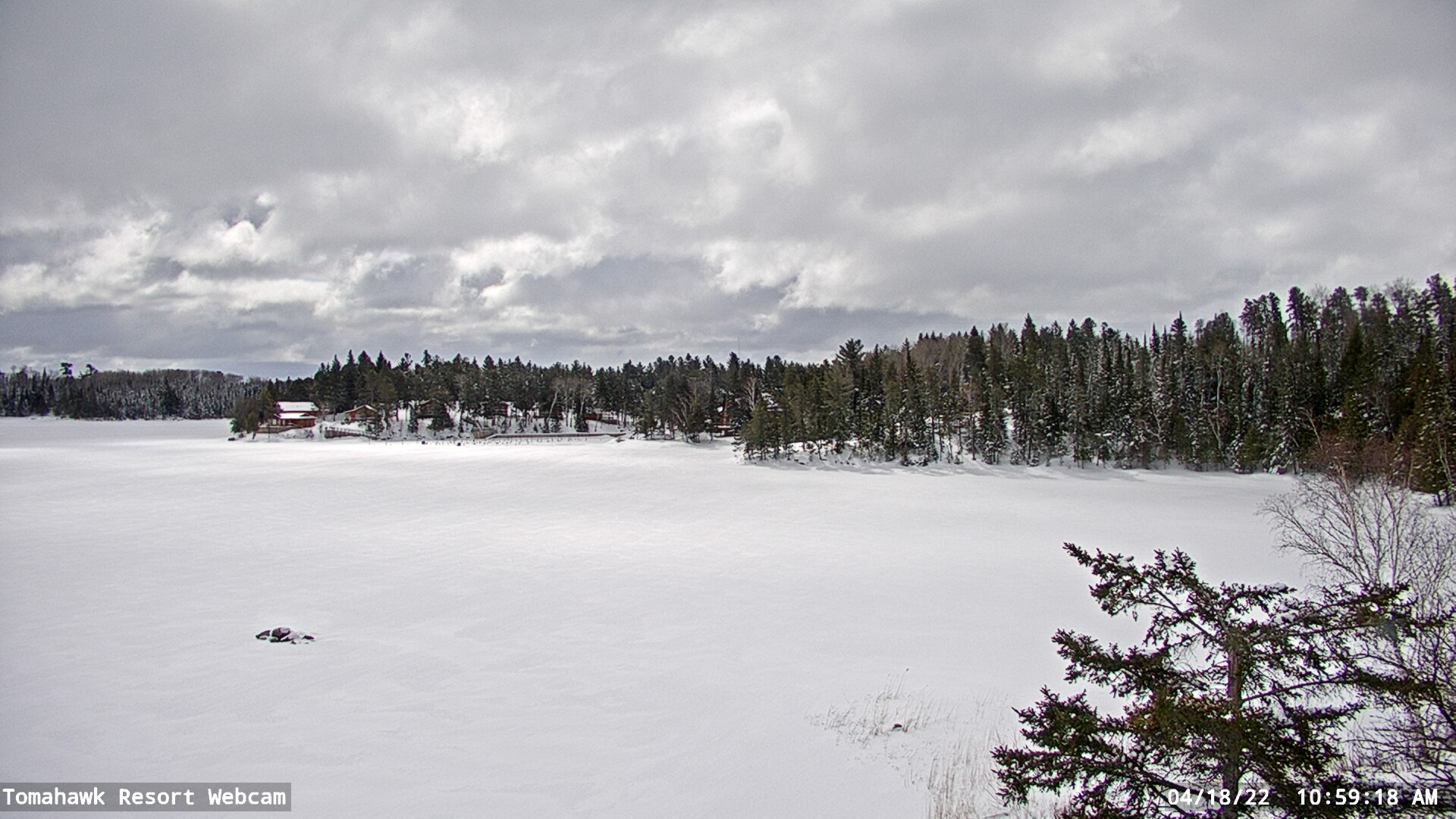 Lake of the Woods Webcam, Mon, 18 Apr 2022 15:59:15 GMT