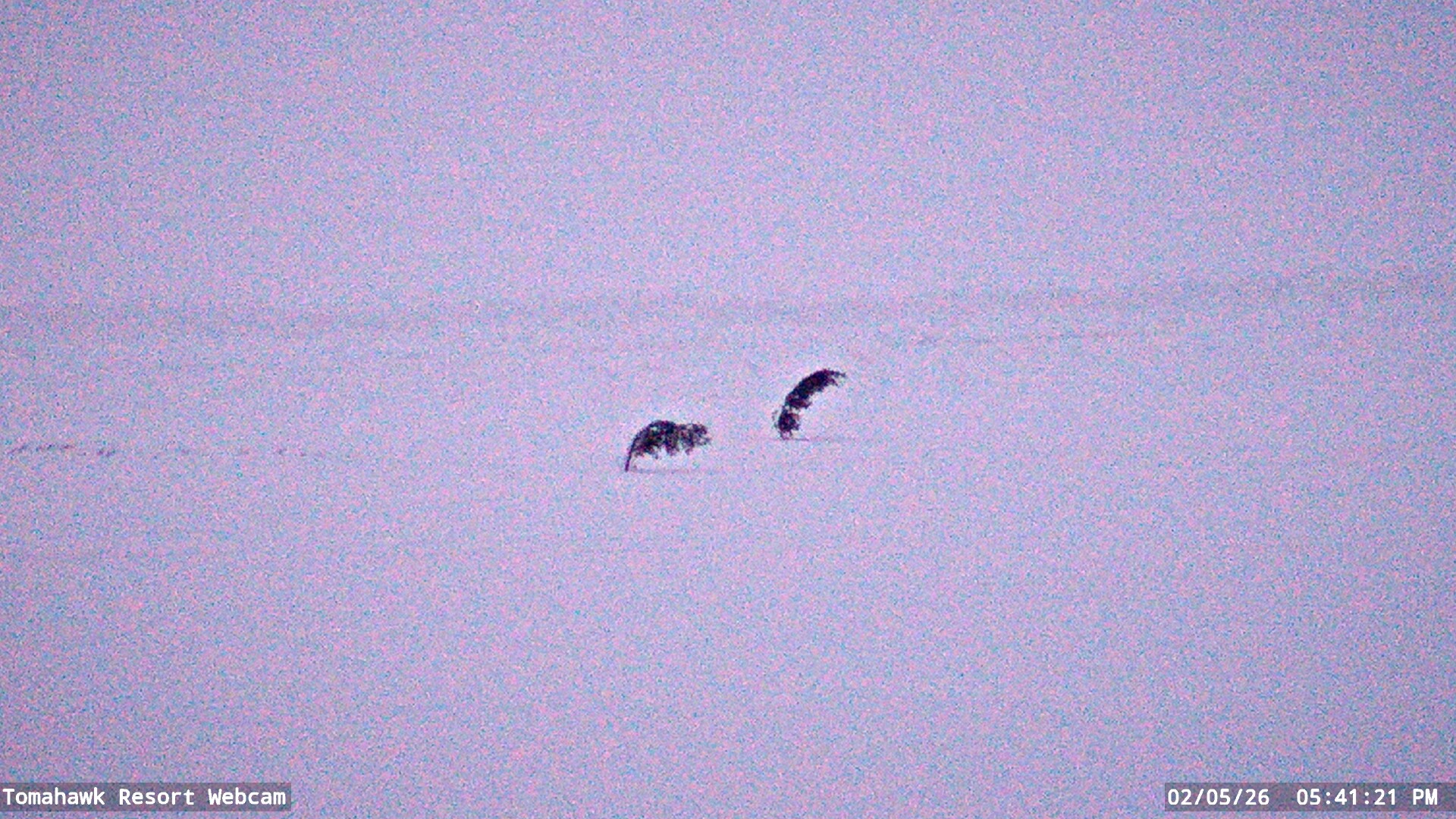 Lake of the Woods Webcam, Thu, 05 Feb 2026 23:41:22 GMT