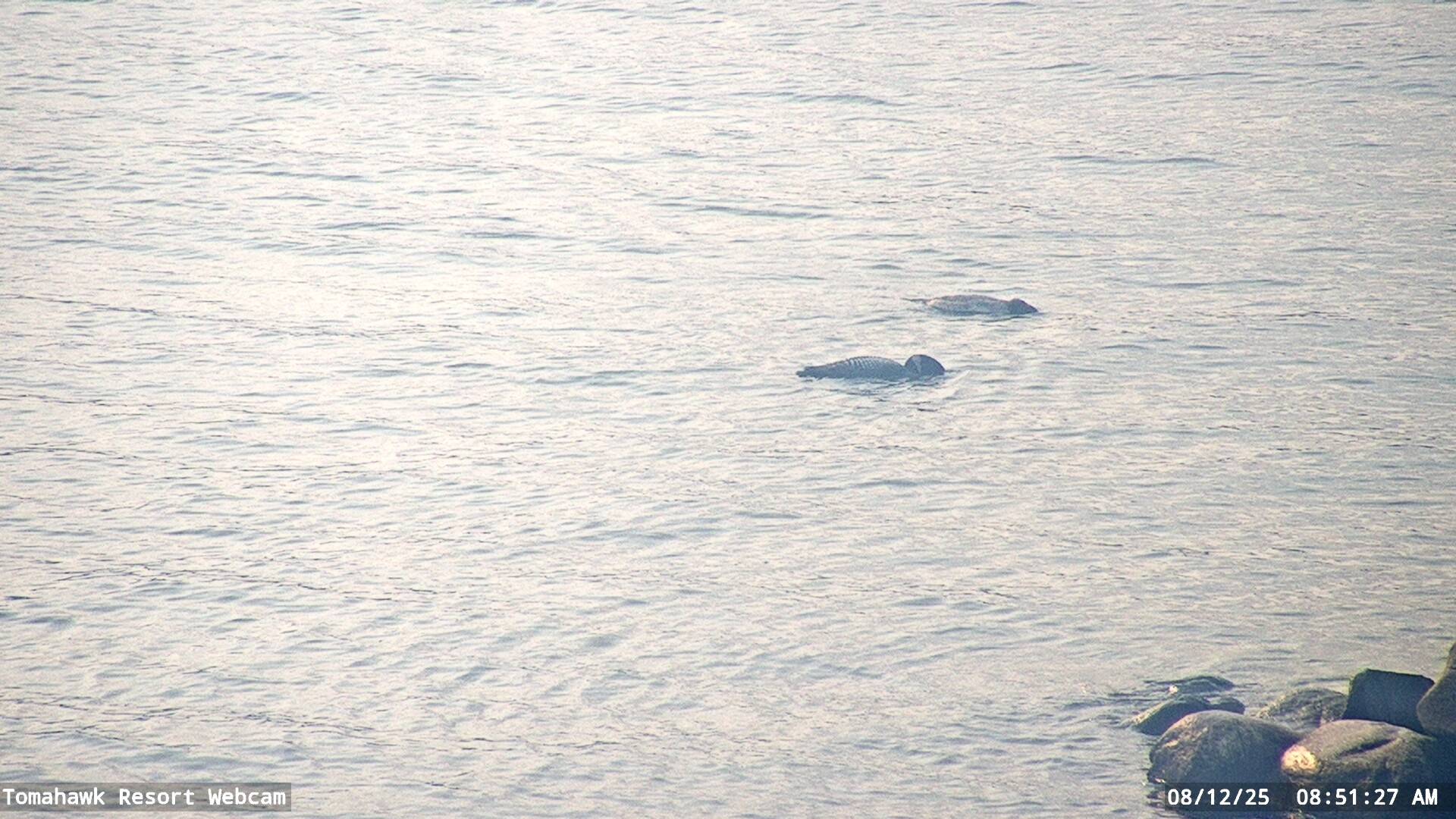 Lake of the Woods Webcam, Tue, 12 Aug 2025 13:51:24 GMT