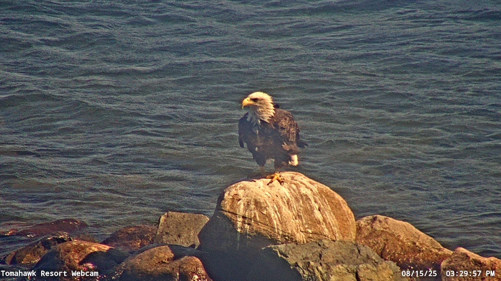 Lake of the Woods Webcam, Fri, 15 Aug 2025 20:29:55 GMT