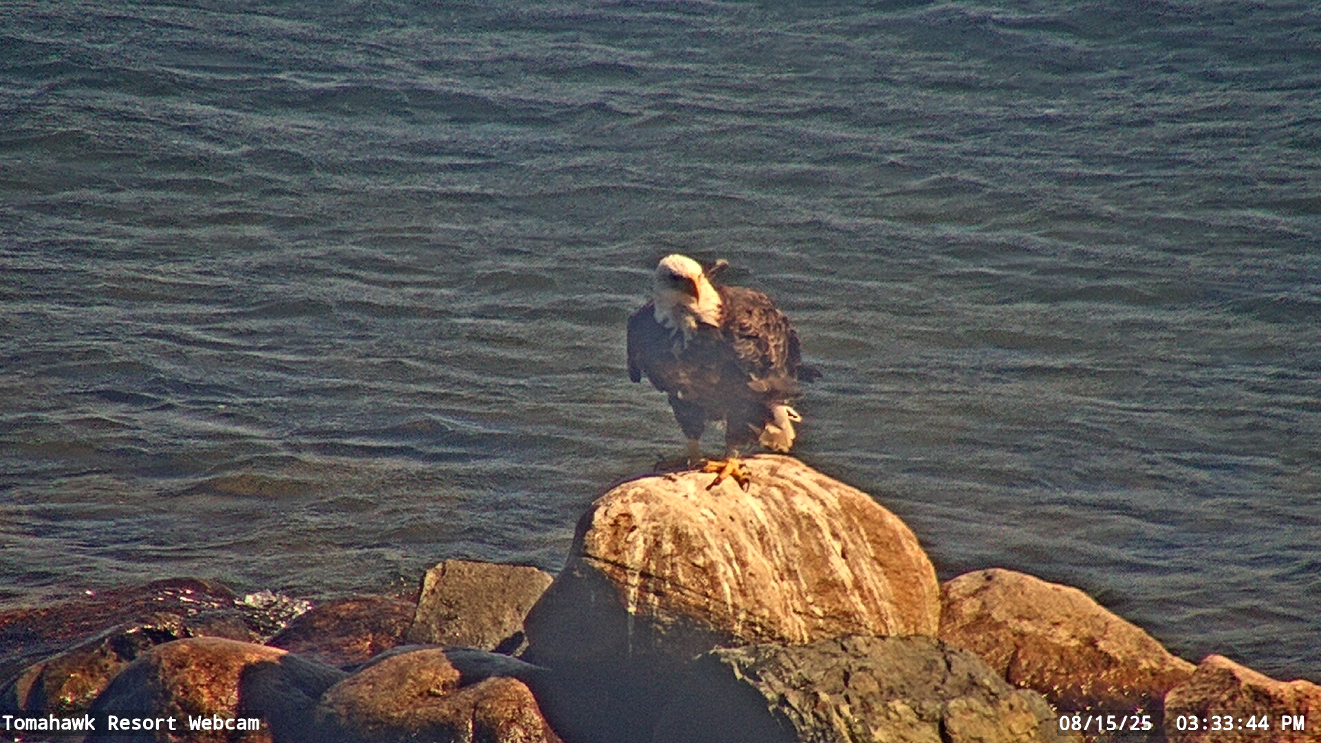 Lake of the Woods Webcam, Fri, 15 Aug 2025 20:33:43 GMT